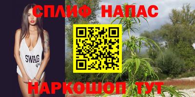 spice Балахна
