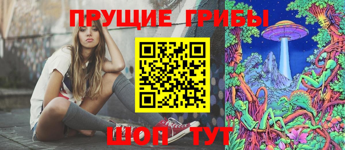 Елабуга  Галлюциногенные грибы ЛСД  Вход с VPN  Галлюциногенные грибы Psilocybe 