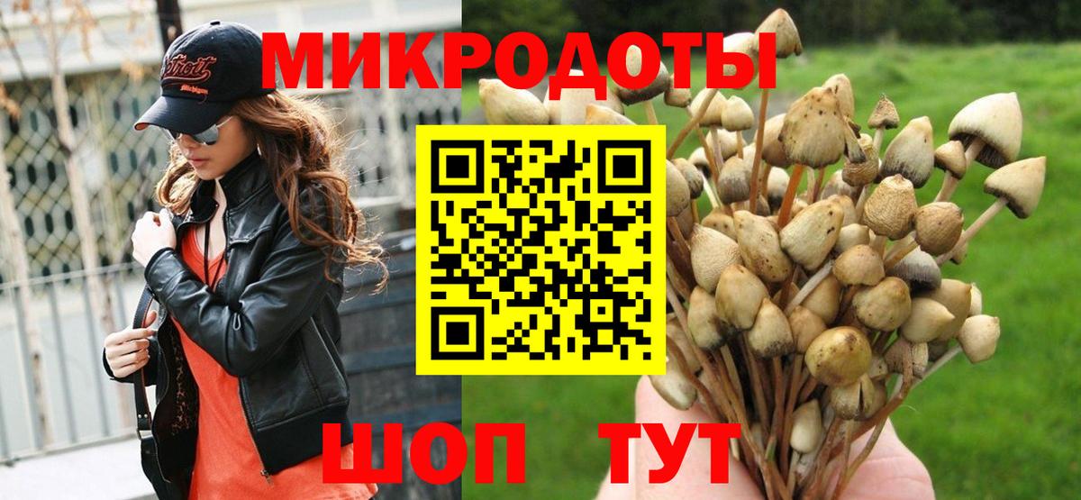 Псилоцибиновые грибы Cubensis Елабуга