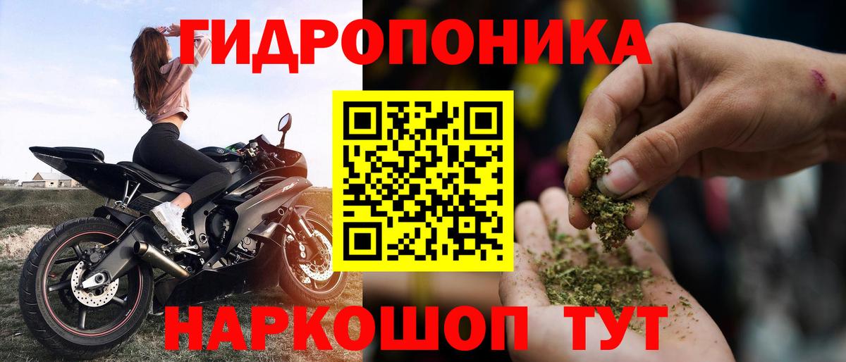 Бошки Шишки VHQ  Бошки Шишки OG Kush  Елабуга  Вход с VPN  Каннабис план 